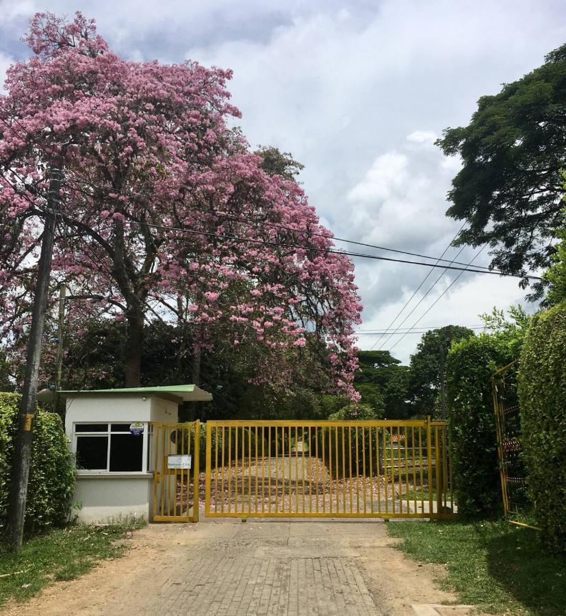 El Jardín de los Colibríes - Pereira, Risaralda Villa Exterior foto