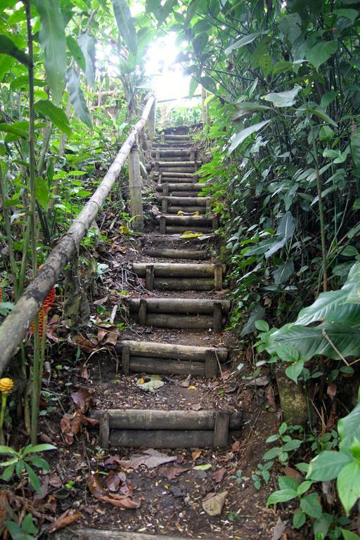 El Jardín de los Colibríes - Pereira, Risaralda Villa Exterior foto