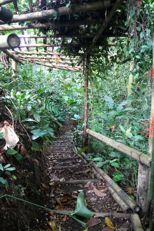 El Jardín de los Colibríes - Pereira, Risaralda Villa Exterior foto