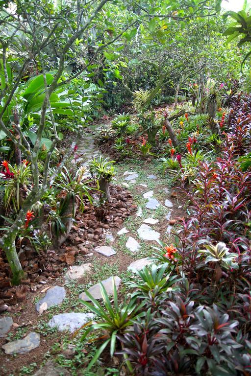 El Jardín de los Colibríes - Pereira, Risaralda Villa Exterior foto