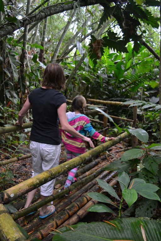 El Jardín de los Colibríes - Pereira, Risaralda Exterior foto