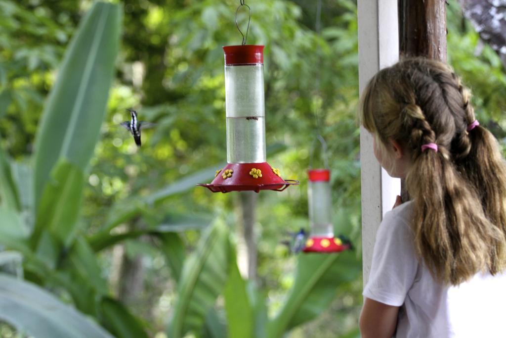 El Jardín de los Colibríes - Pereira, Risaralda Villa Exterior foto